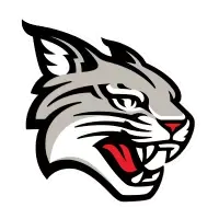 Davidson Wildcats Calendar branding